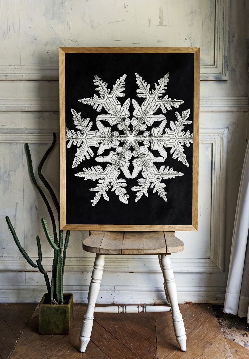 Wilson Bentley's Snowflake 920 (ca. 1890) detailed photograph of snowflakes. — room view 1