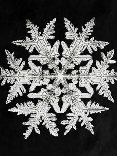 Wilson Bentley's Snowflake 920 (ca. 1890) detailed photograph of snowflakes. poster print