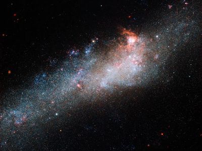 galaxy known as NGC 4656. poster