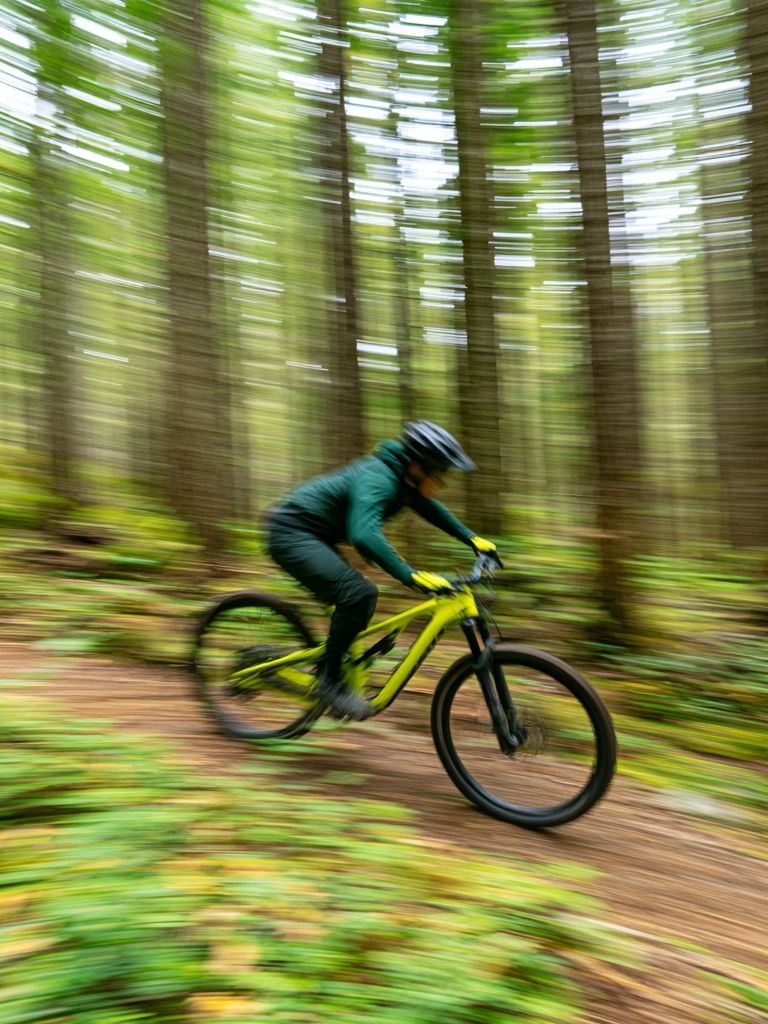 Mountain Bike Forest Motion Poster. poster detail