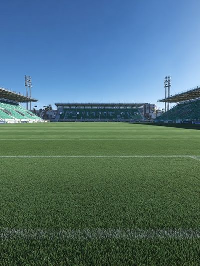 Soccer Stadium Field — Photography Print. poster print