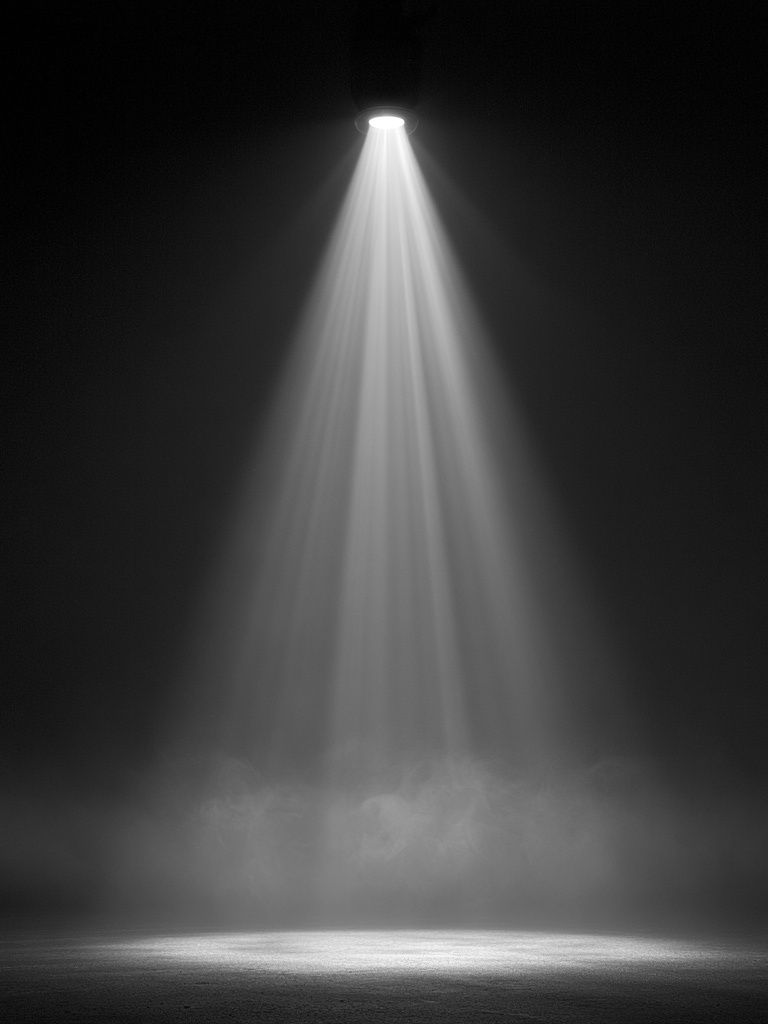 Spotlight in the Dark Photography Poster. poster detail