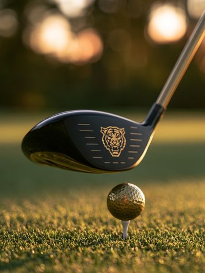 Tiger Golf Club Swing Poster. poster