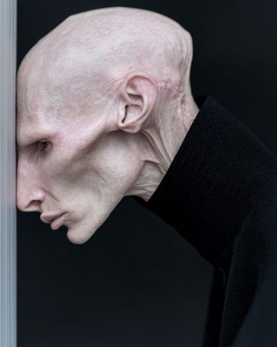 Surreal Bald Portrait Print. poster