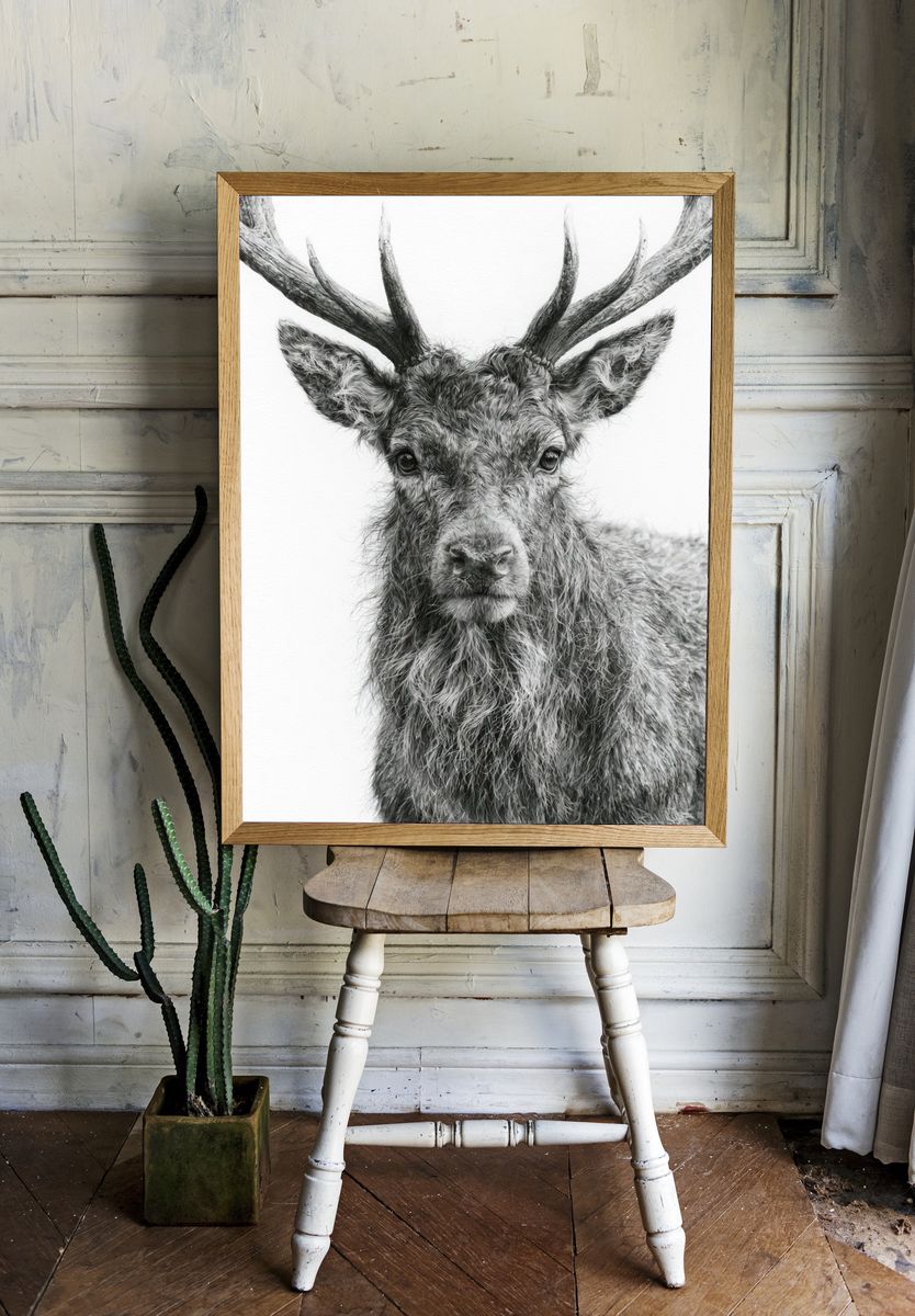 Majestic Stag Portrait Print. — room view 1