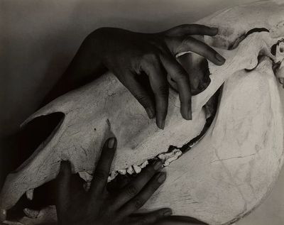 Hands and Horse Skull by Georgia O’Keeffe (1931) — Art Print. poster print