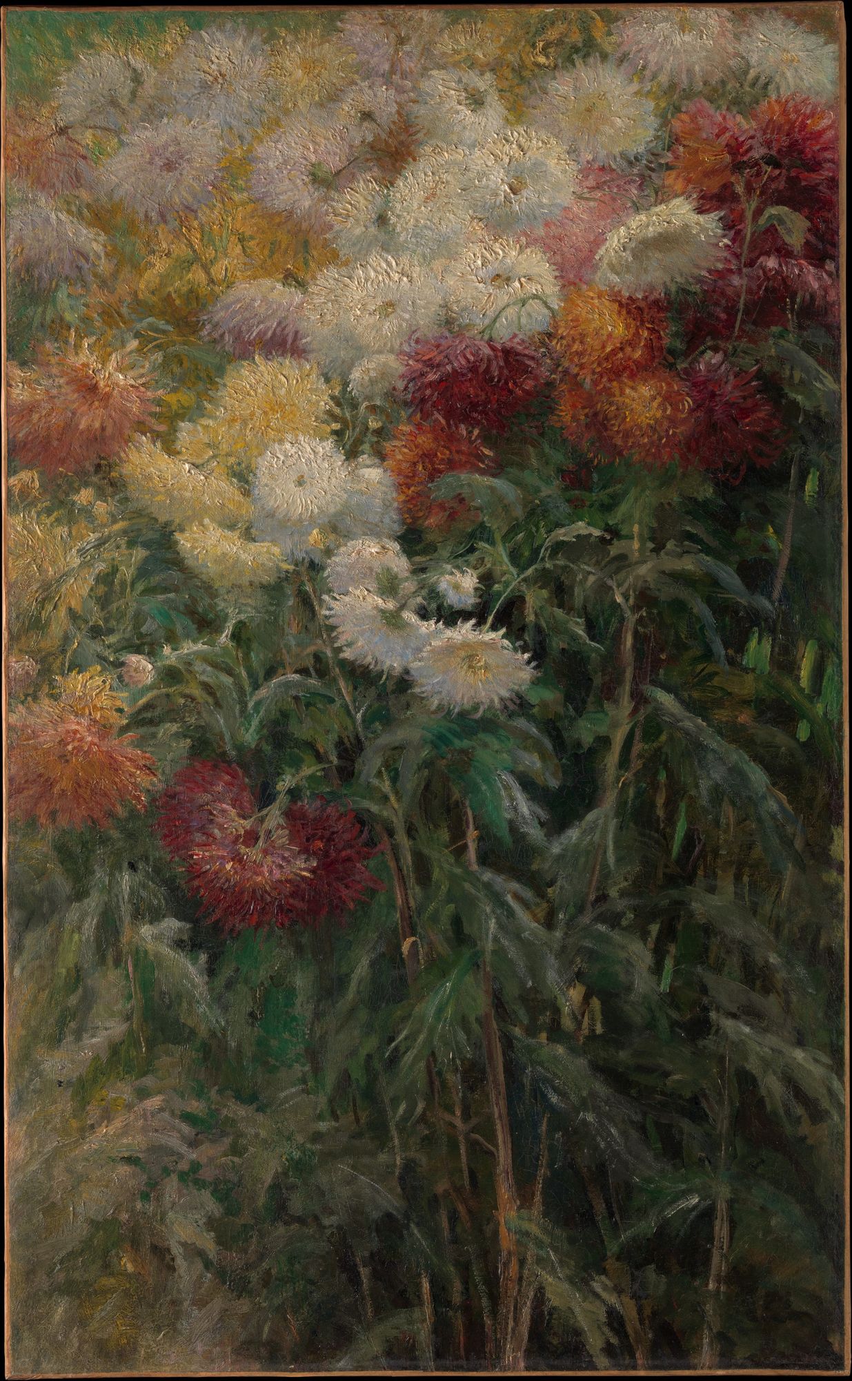 Chrysanthemums in the Garden at Petit-Gennevilliers by Gustave Caillebotte — Art Print. poster detail