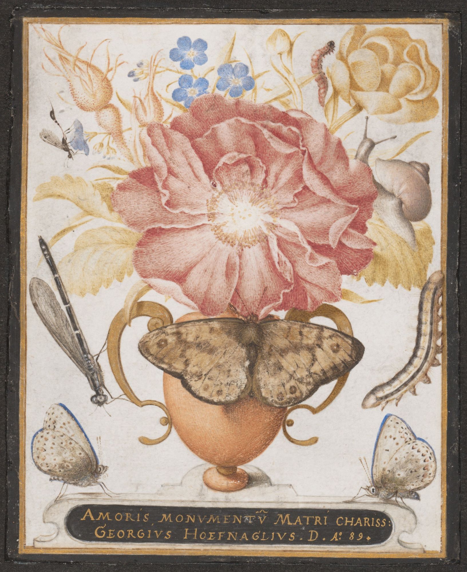 Still Life with Flowers, a Snail and Insects by Joris Hoefnagel — Art Print. poster detail