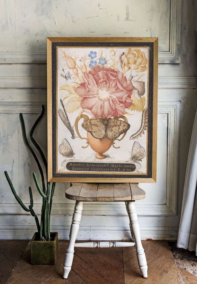 Still Life with Flowers, a Snail and Insects by Joris Hoefnagel — Art Print. room preview