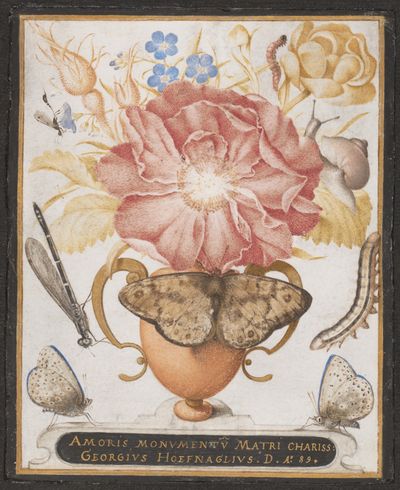 Still Life with Flowers, a Snail and Insects by Joris Hoefnagel — Art Print. poster
