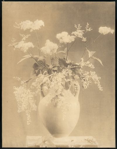 [Vase of Flowers] by Unknown — Art Print.