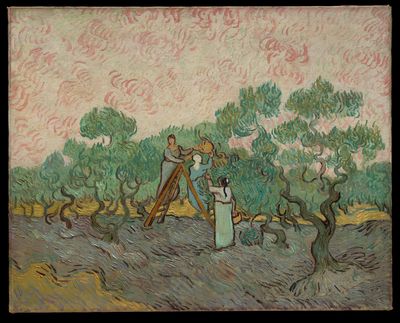 Women Picking Olives by Vincent van Gogh — Art Print. poster