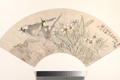 Birds and Narcissus by Xu Xiang