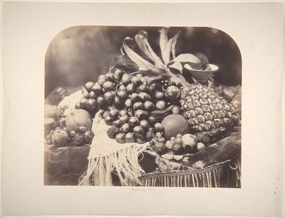 [Still Life with Fruit] by Roger Fenton — Art Print.