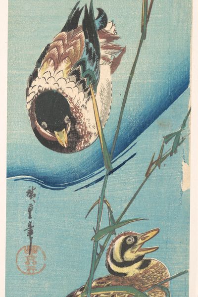 Mallard Ducks and Snow-covered Reeds by Utagawa Hiroshige — Art Print. poster