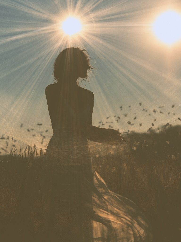 Sunlit Silhouette Photography Poster. poster detail