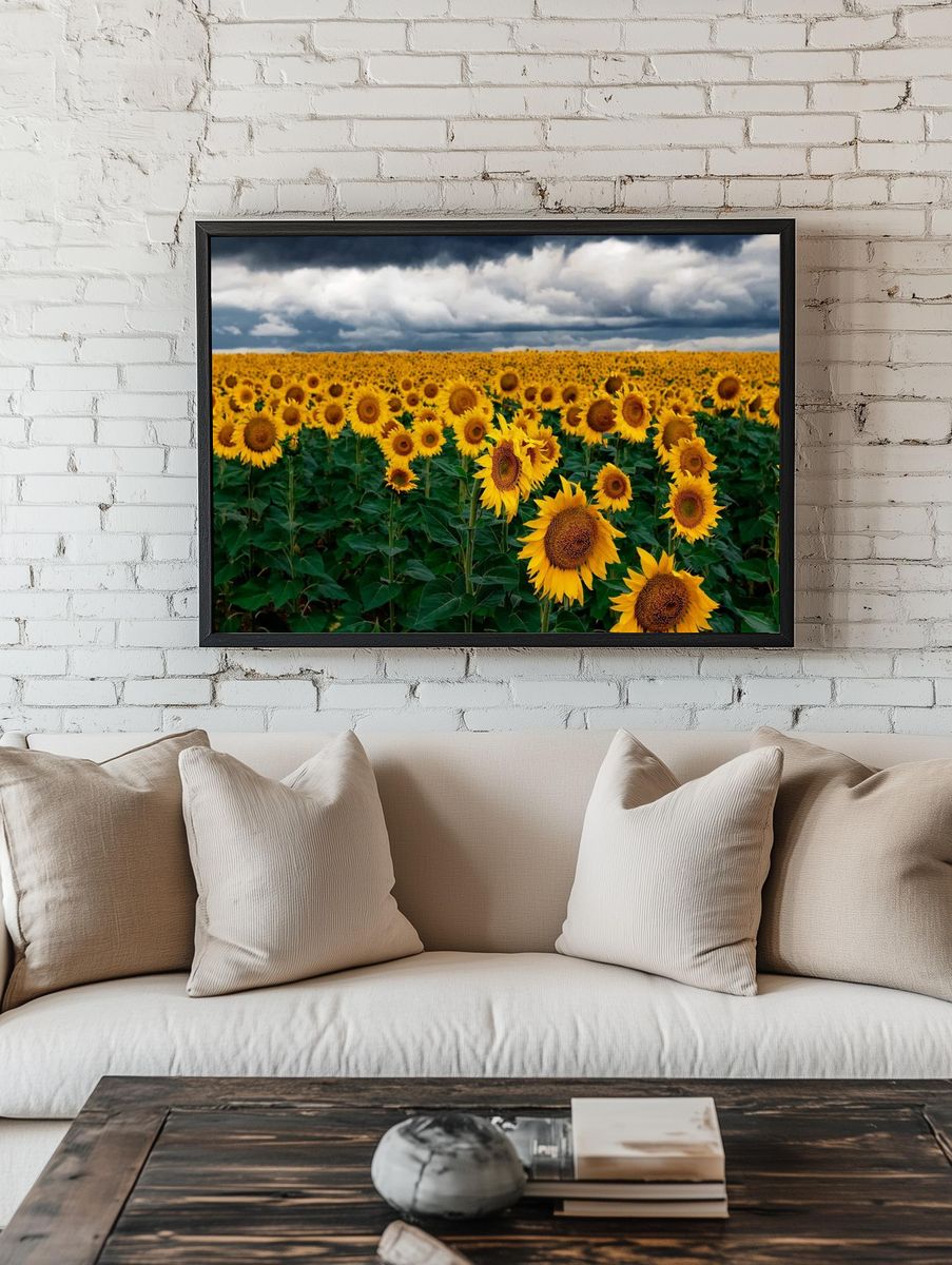 Sunflower Field — Nature Print. — room view 1