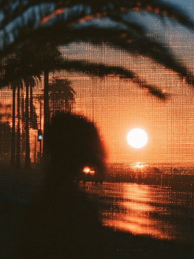 Sunset Palm Silhouette Photography Poster.