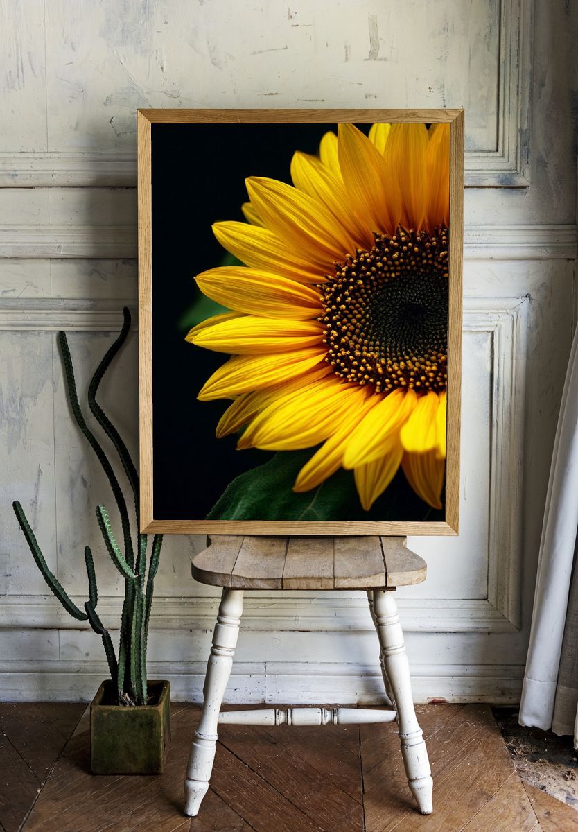 Sunflower Close-Up Poster room preview