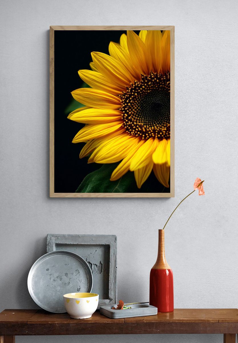 Sunflower Close-Up Poster. — room view 3