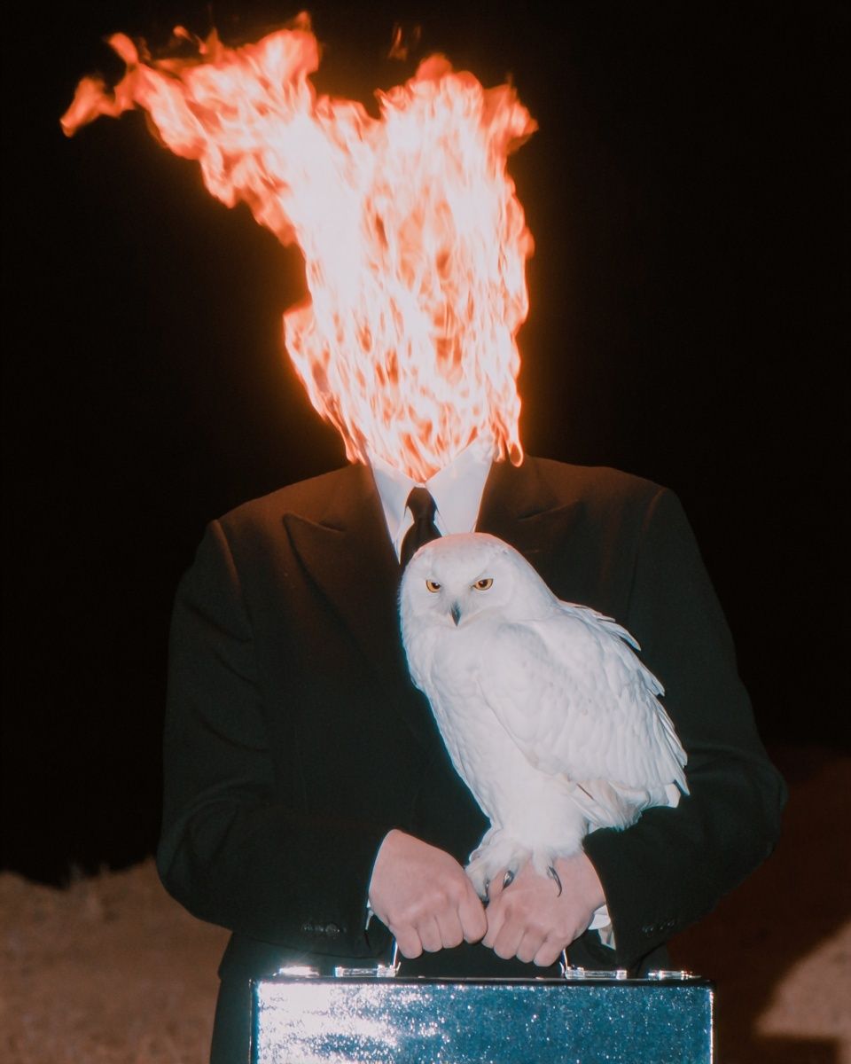 Surreal Flaming Head with Owl Print. poster detail