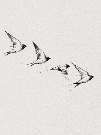 Swallows in Flight Minimalist Print. poster
