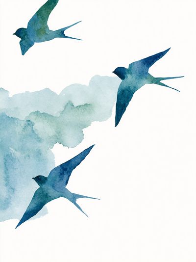Swallow Flight Watercolor Poster. poster