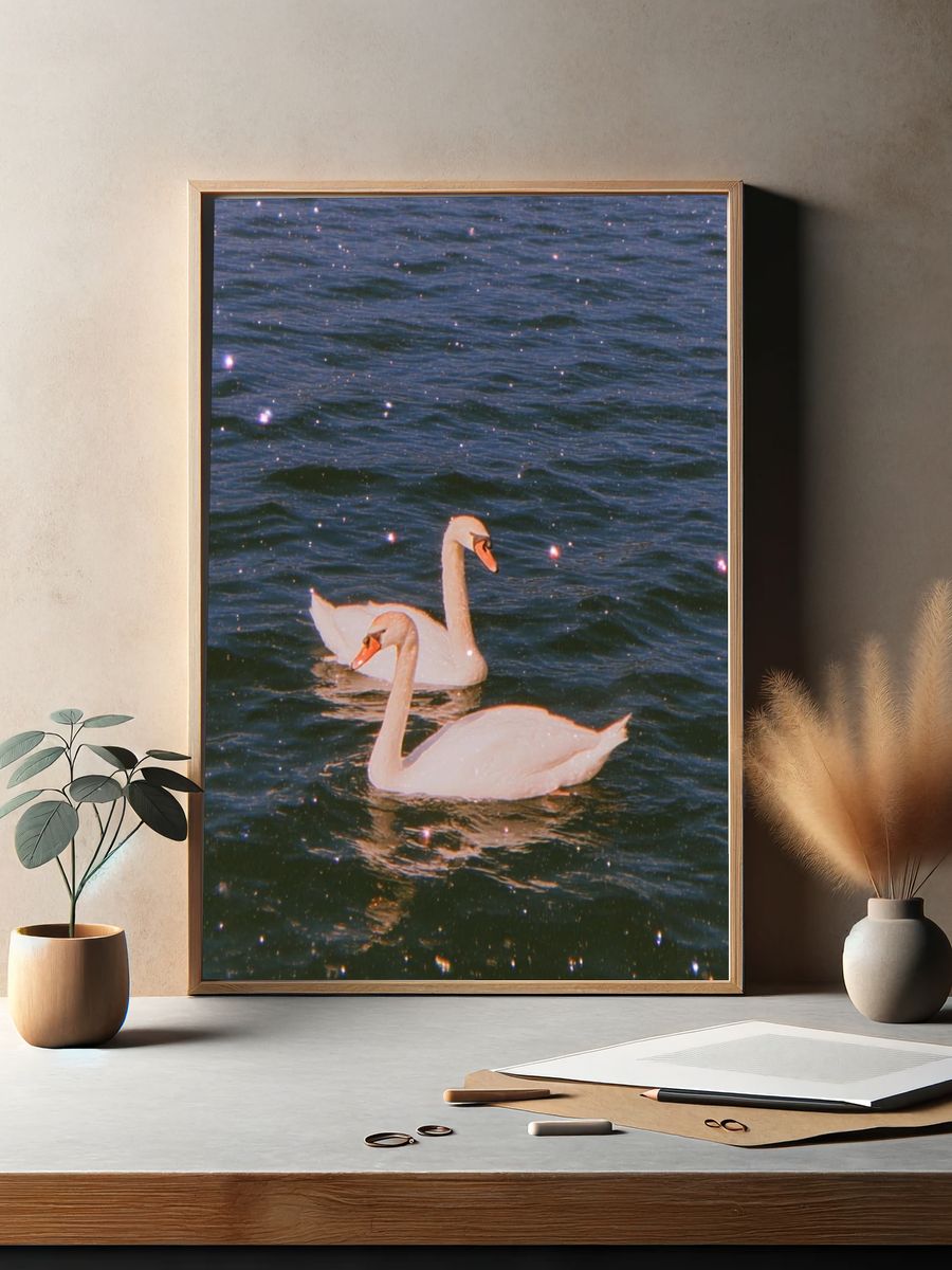Swans on Water — Photography Print. — room view 2