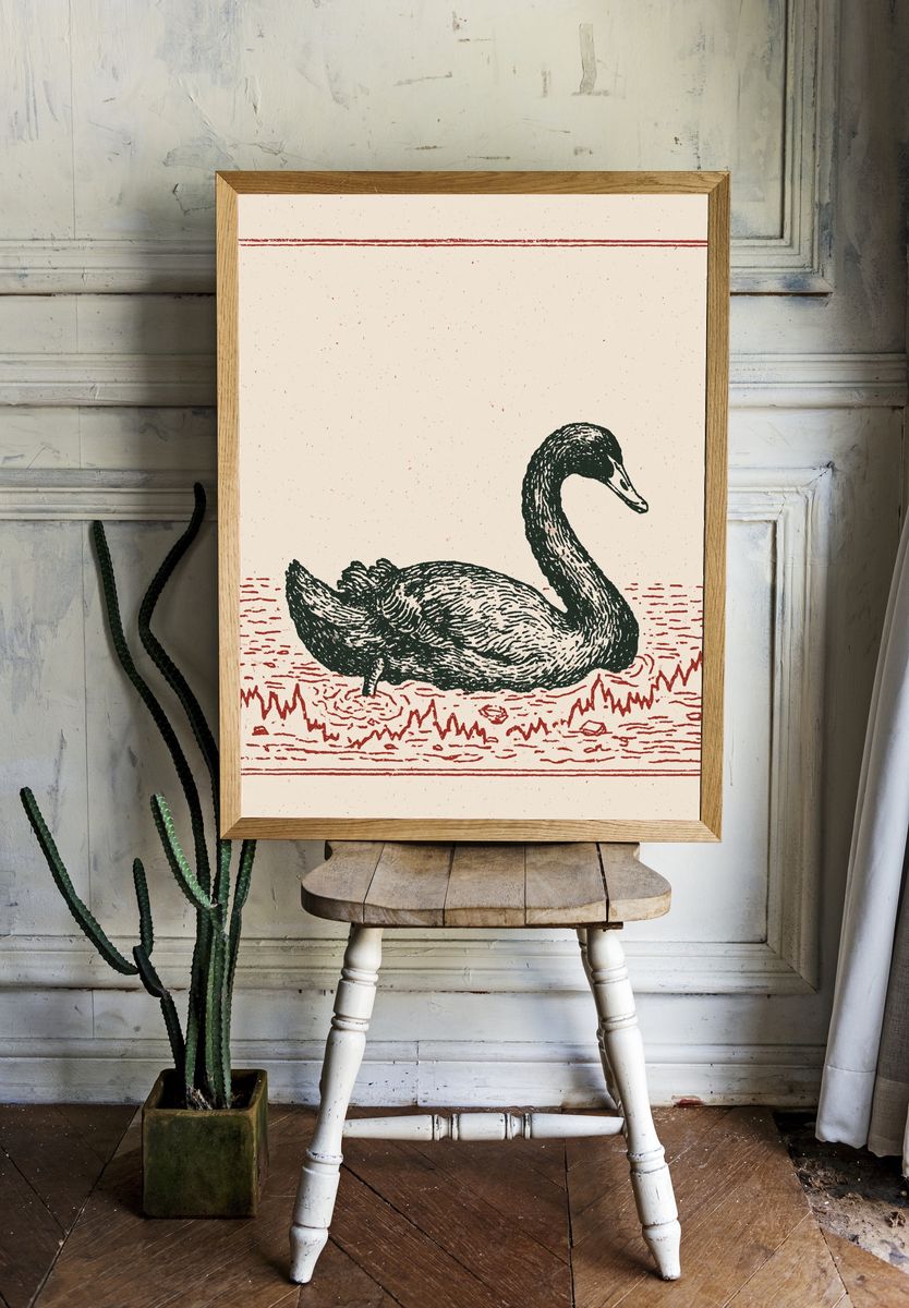Swan Vintage Illustration Poster. room preview