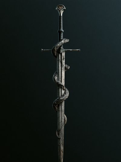 Sword and Serpent Dark Fantasy Print.