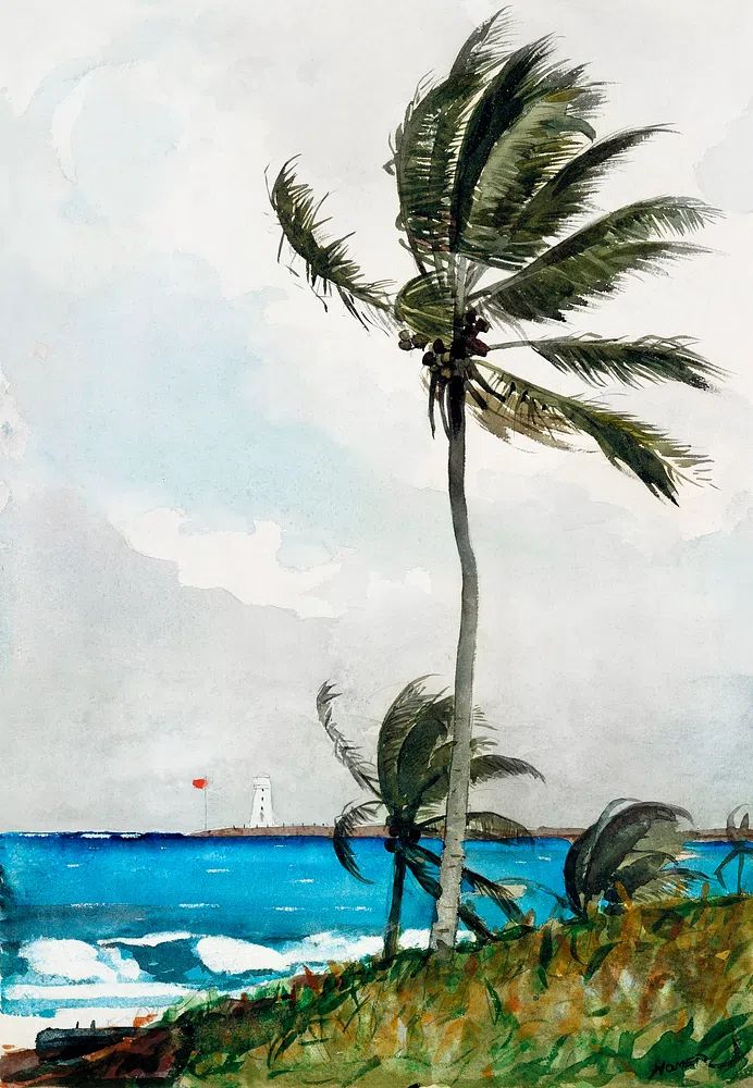Tropical Beach Scene — Watercolor Print. poster detail