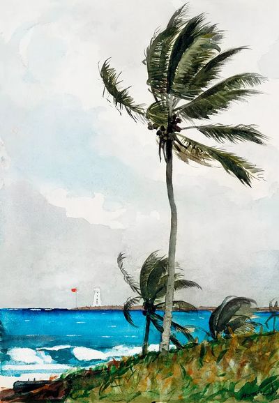 Tropical Beach Scene