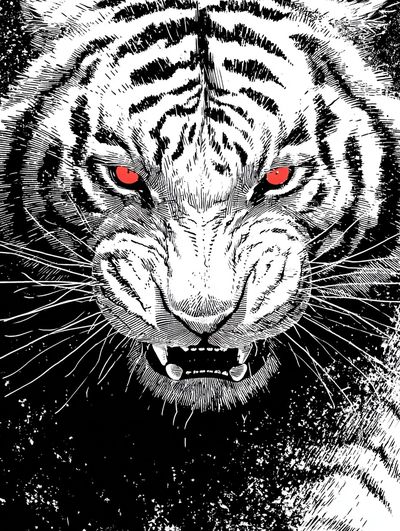 Fierce White Tiger Print. poster