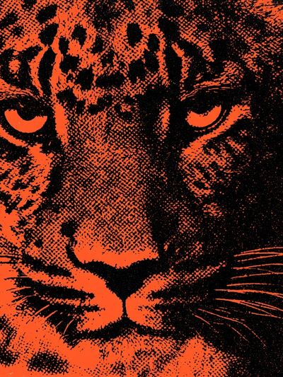 Tiger Pop-Art Poster.