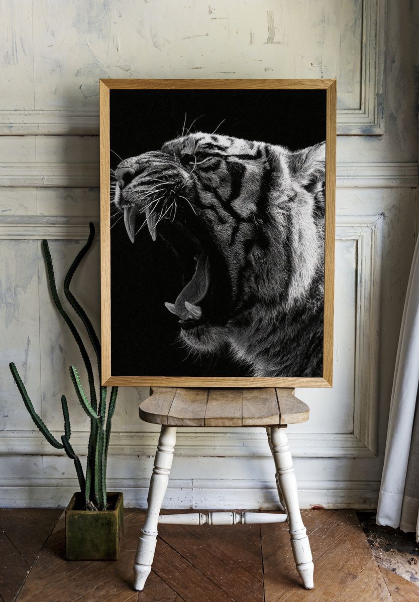 Roaring Tiger Black-White Poster. — room view 1