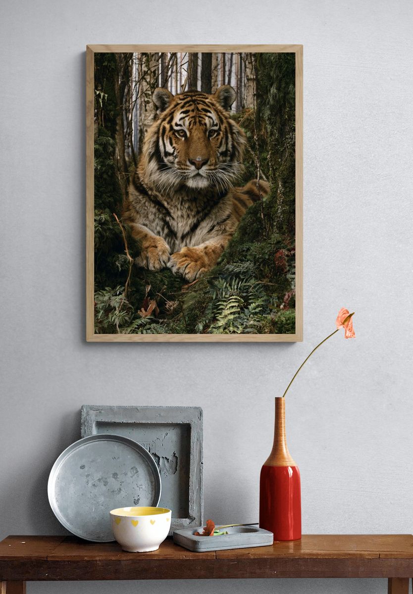 Tiger in Forest Photography Poster. — room view 3