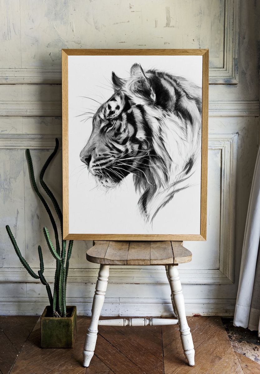 Tiger Profile Sketch Poster. room preview