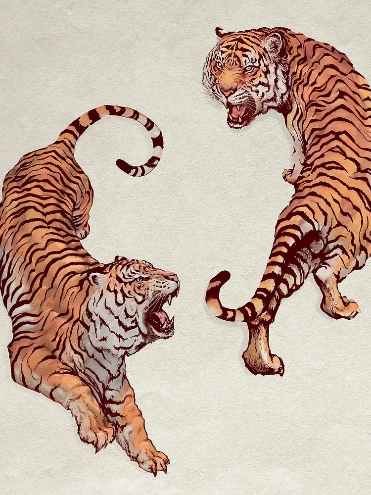 Hand drawn roaring yin yang. poster detail