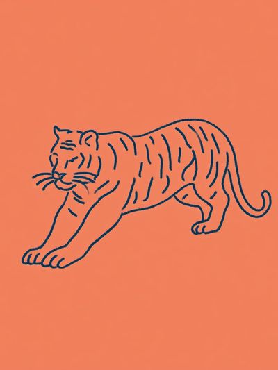 Tiger Line Art Poster. poster