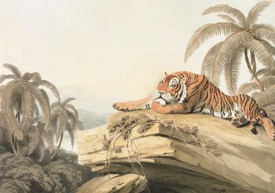 Tiger in Tropical Landscape — Vintage Print. poster