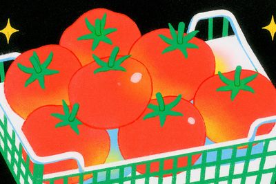 Tomatoes in Basket Illustration Poster. poster