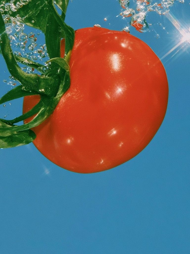 Floating Tomato Photography Poster. poster — photography art