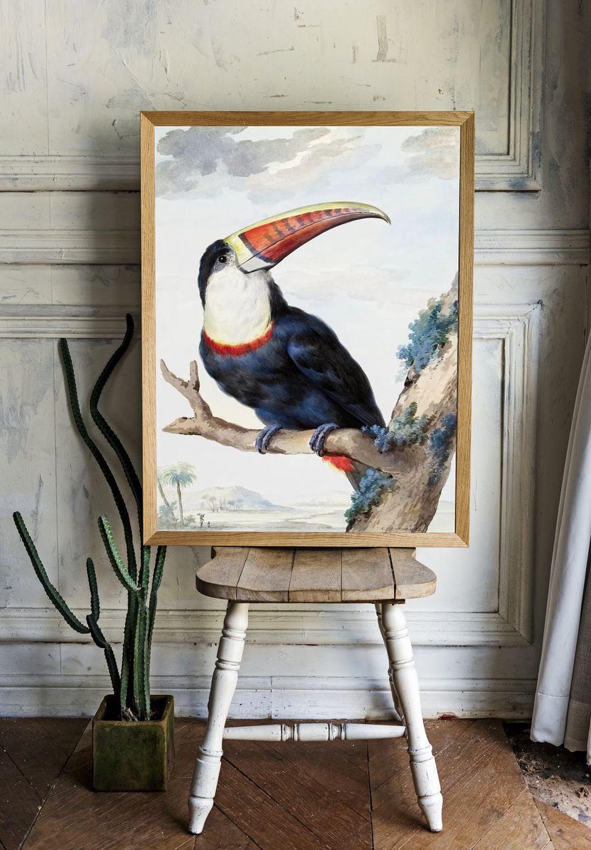 Red-billed Toucan (1748) painting high. room preview
