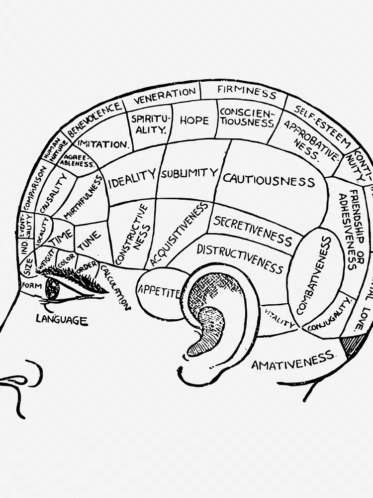 Phrenology chart drawing, vintage neurology. poster — typography art