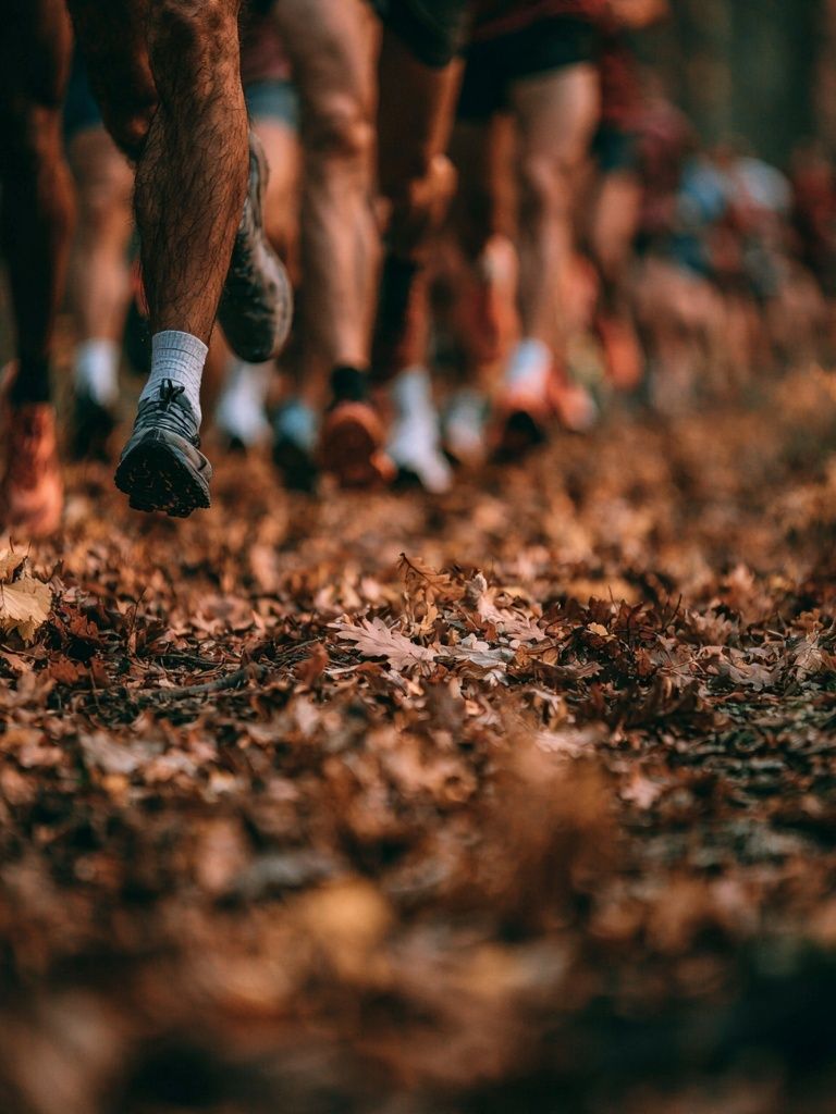 Trail Runners in Autumn Forest Poster. poster — photography art