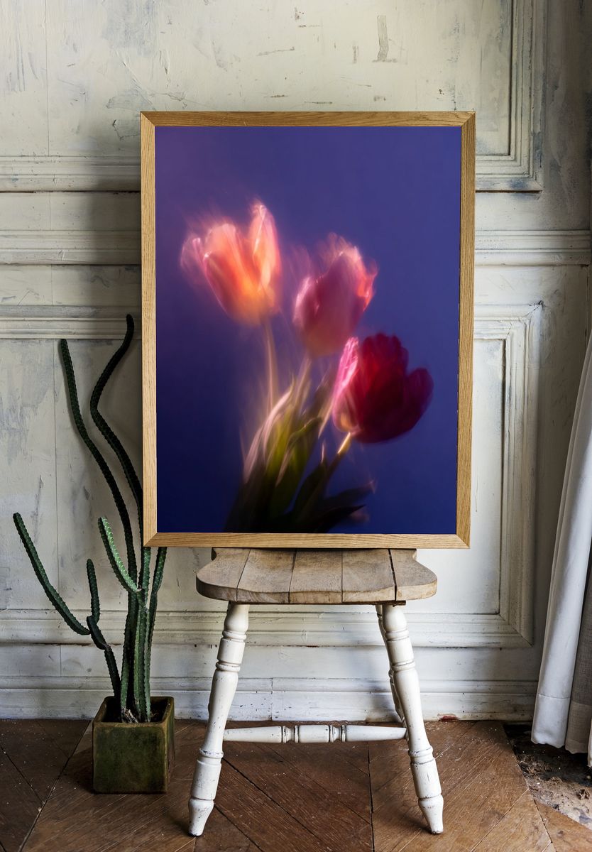 Dreamy Tulips Photography Poster. — room view 1