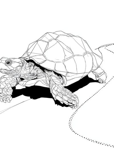 Geometric Turtle Line Art Poster. poster