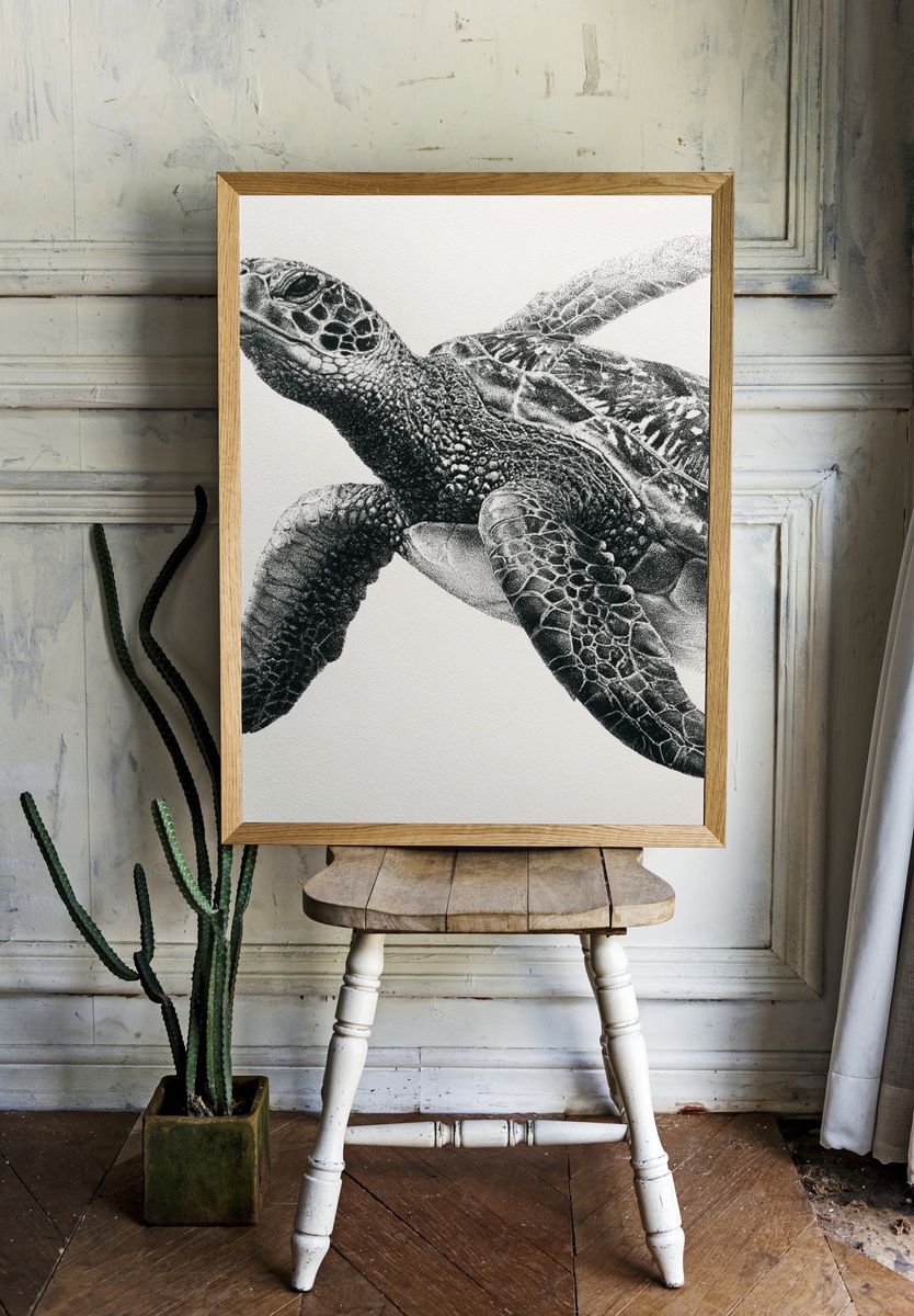 Sea Turtle Black-White Print. — room view 1