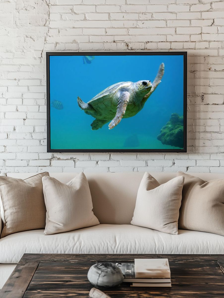 Sea Turtle Swimming — Nature Print. — room view 1