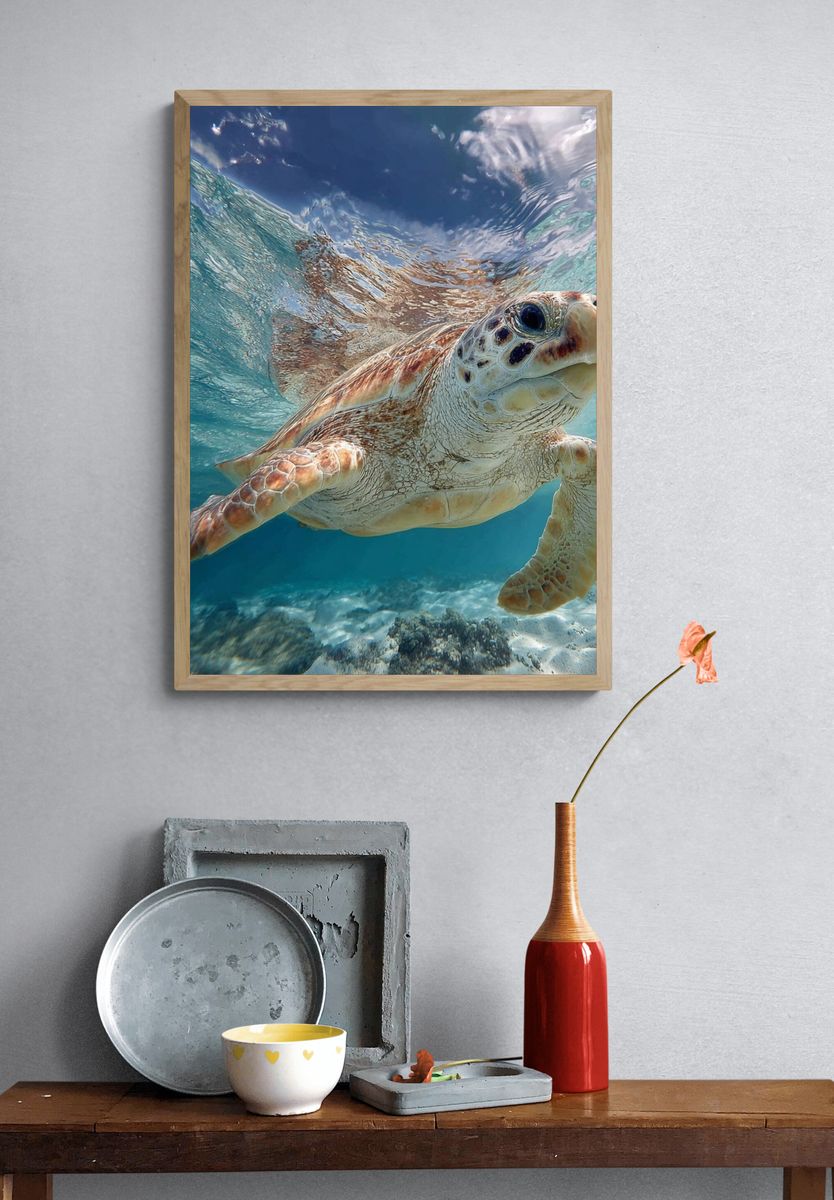 Sea Turtle Underwater Photography Poster. — room view 3